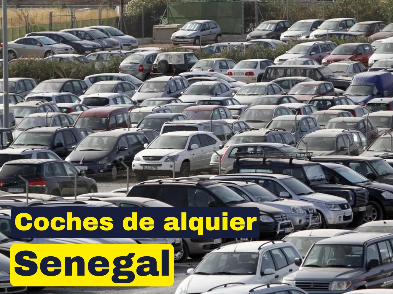 Coches de alquiler